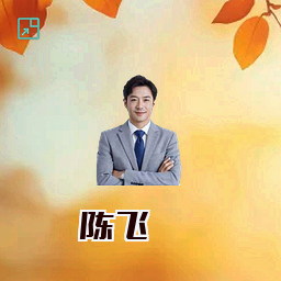陈飞